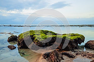 Seascape. Sunset at the beach. Ocean low tide. Rocks with green seaweeds. Cloudy sky. Horizontal background banner. Thomas beach,