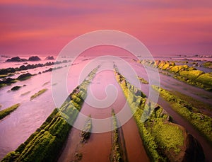 Seascape at sunset with green seaweed moss on rocks