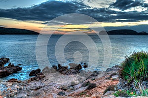 Seascape at sunset in winter with grass and a plant