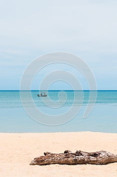 Seascape timber on the beach and fisherman fishing