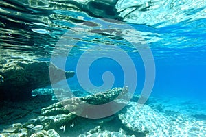 Seascape - transparent and purest blue water of the Aegean Sea. Underwater photography, selective focus.