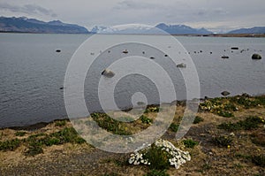 Seascape in the Ultima Esperanza Inlet from Puerto Natales.