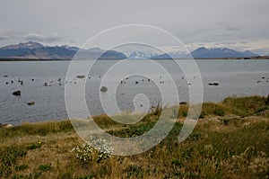 Seascape in the Ultima Esperanza Inlet from Puerto Natales.