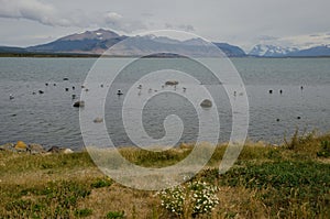 Seascape in the Ultima Esperanza Inlet from Puerto Natales.