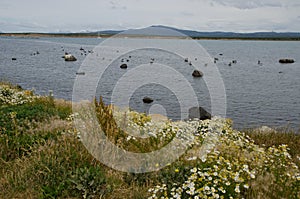 Seascape in the Ultima Esperanza Inlet from Puerto Natales.