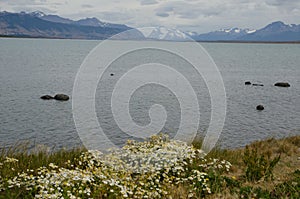 Seascape in the Ultima Esperanza Inlet from Puerto Natales.