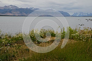 Seascape in the Ultima Esperanza Inlet from Puerto Natales.