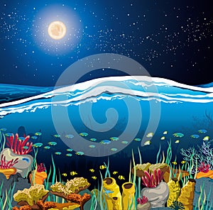 Seascape with underwater creatures and night sky