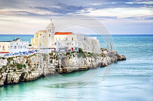 Seascape from Vieste photo