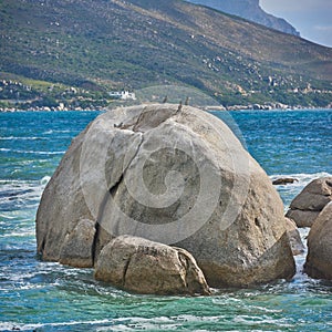 Seascape view with blue ocean water and wild birds sitting on boulders and rock on Camps Bay beach, Cape Town, South