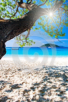Seascape view of a tropical beach on sunny summer