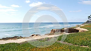 Seascape vista point, California coast USA. Ocean tide, blue sea wave overlook. Ice plant succulent.