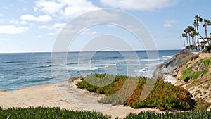 Seascape vista point, California coast USA. Ocean tide, blue sea wave overlook. Ice plant succulent.