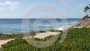 Seascape vista point, California coast USA. Ocean tide, blue sea wave overlook. Ice plant succulent.