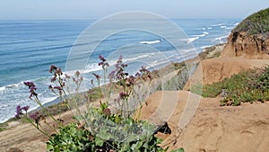 Seascape vista point, Del Mar Torrey Pines, California coast USA. Ocean tide, blue sea wave overlook