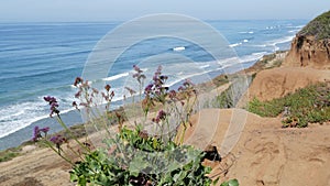 Seascape vista point, Del Mar Torrey Pines, California coast USA. Ocean tide, blue sea wave overlook