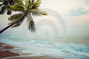 Seascape with wave foam and palm tree at tropical beach