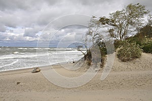 Seascape in windy weather. Nature, landscape, horizon, beach.