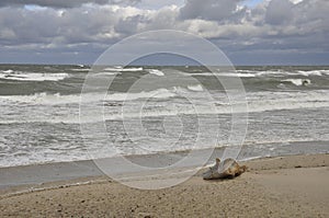 Seascape in windy weather. Nature, landscape, horizon, beach.