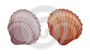 Seashell as Travel and Tourism Attribute Vector Set
