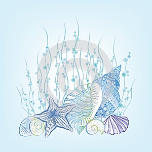 SeaShell background Summer Holiday Concept. Underwater Background