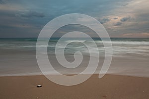 Seashell on the beach