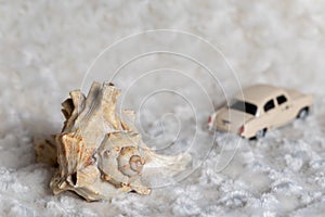 Seashell on a blurred background of a toy car. The concept of travel. Selective focus. Space for lettering or design