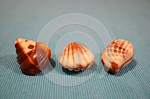 Seashell bonbons