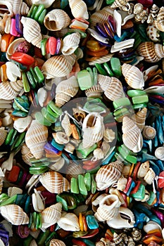 Seashell bracelet