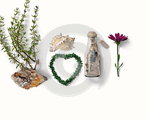 seashell buttle with sand wild flowers and grass in heart sumbol copy space isolated template