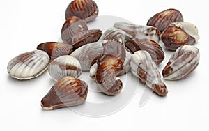 Seashell Chocolates