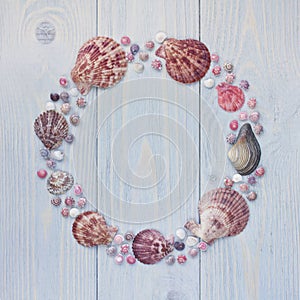 Seashell circle frame on wooden background. Scallop shells.