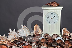 Seashell collection with clock 3