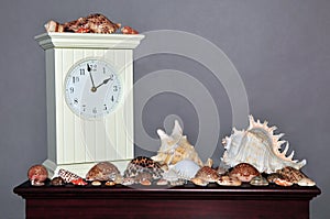 Seashell collection with clock on shelf