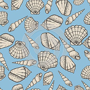 Seashell collection hand drawn aquatic doodle vector illustration. Sketch seamless pattern.