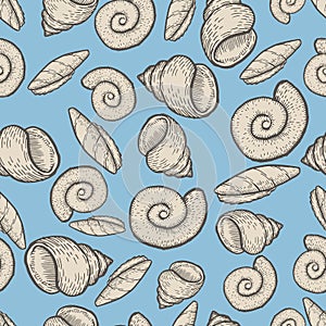 Seashell collection hand drawn aquatic doodle vector illustration. Sketch seamless pattern.