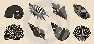 Seashell dark black silhouettes set isolated. Sea shells.