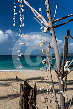 Seashell decoration on a beach