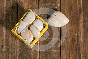 Seashell decoration in a yellow box,