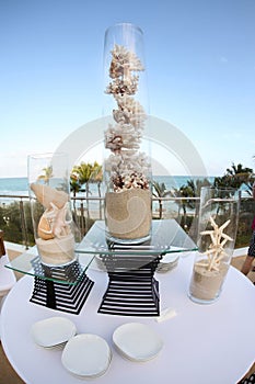 Seashell decorations