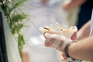 A seashell filled with sand is the base for two wedding rings be