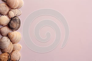 Seashell frame on white background