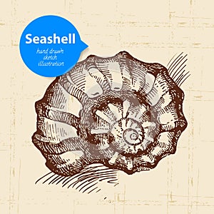 Seashell hand drawn sketch. Vintage illustration