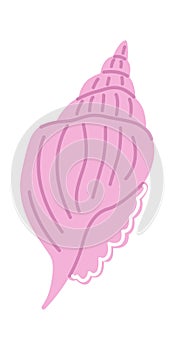 Seashell Icon Linework