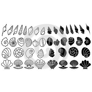 Seashell icon vector set. Shell illustration sign collection. Sea life symbol or logo.