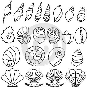 Seashell icon vector set. Shell illustration sign collection. Sea life symbol or logo.