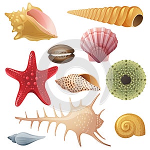 Seashell icons