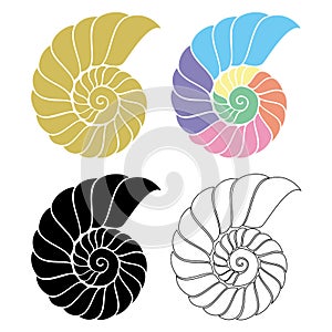 Seashell Nautilus