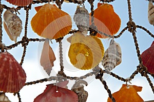 Seashell net hanging outdoors. Seashell net sky background. Decorative net. Seashell mobile crafts