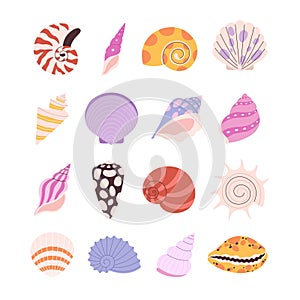 Seashell, oyster, clam set. Cartoon seashells and starfish, ocean underwater coral elements. Isolated sea beach nature